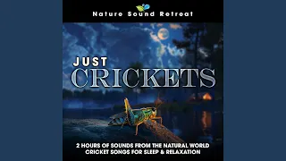 Just Crickets: 2 Hours of Sounds from the Natural World Cricket Songs for Sleep & Relaxation