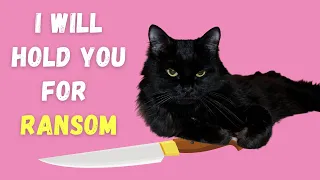 7 Reasons NOT to Adopt a Black Cat (For Your Own Good!)