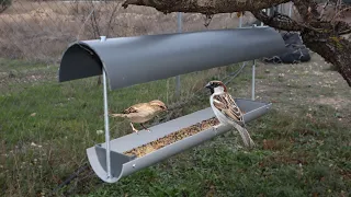 Como Hacer un Comedero para Pájaros con Tubo de PVC