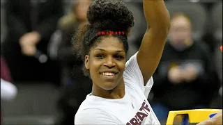 WNBA'S TEAIRA MCCOWAN IS BEING HORRIBLY BULLIED BY THE PEOPLE WHO CANNOT BE CRITICIZED IN ANY WAY!