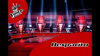 Despacito - The Voice