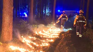 Bei Hitze und Trockenheit: So wüten die Waldbrände - Gegenfeuer hält Feuerwalze auf