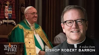 Bishop Barron on Pope Francis in America
