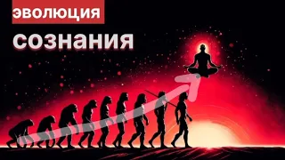 Трансформация сознания: Как достичь истинной благости?