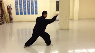 Xing Yi Quan (Hsing-I, 河北形意拳 ) 5 Elements Slow-Motion Demonstration