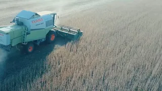 Уборка сои 2019 Claas Dominator 86 VS Claas Mega 360  Уникальные кадры с высоты птичьего полёта !