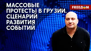 Как голосовали за законопроект об "иноагентах" в Грузии. Комментарий политолога