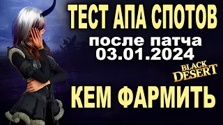 💰Тест спотов после апа 03.01 в БДО. Кем фармить серебро в 2024  (BDO - Black Desert)