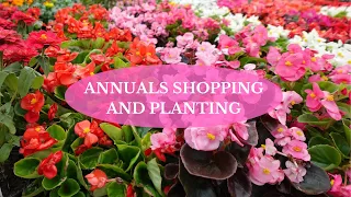 COME SHOP & PLANT ANNUALS WITH ME!  II  Visit a garden center, pot annuals and perennials