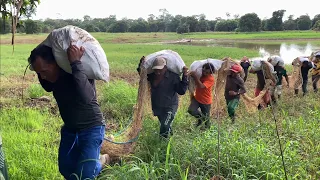 ARRASTÃO DE PESCA PARA PIRARUCU/AMAZONAS/LAGO DO ACARÁ, MARAÃ/CERTIFICAÇÃO DE MANEJO  SUSTENTÁVEL.