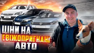 Ціни на СВІЖОПРИГНАНІ БЮДЖЕТНІ авто //Opel Astra/Renault Megane/Volkswagen Golf/#автопідбір