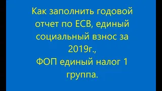 Как заполнить годовой отчет по ЕСВ, единый социальный взнос за 2019г., ФОП единый налог (1 группа).