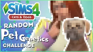 Our New RANDOM GENETICS Lab Assistant!! 🎲 Random Pet Genetics Challenge!! - Experiment #11