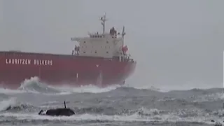 Pasha Bulker run aground at Newcastle NSW