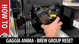 How to Reset a Gaggia Anima Brew Unit - Solves Drip Tray and Brew Unit Insertion Problems