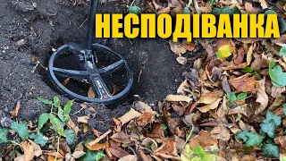 Давно його шукали! Пошук з металошукачем в Україні