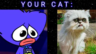 Huggy Wuggy react to your cat - memes