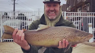 Harbor Brown Trout Fishing - NEW PB