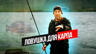 ЛОВУШКА ДЛЯ КАРПА из ПРИКОРМКИ! 🎣 Создаем ДОРОГИ и располагаем НАСАДКУ!