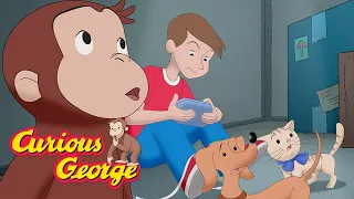 Curious George 🐵 George Gets Lost 🐵 Kids Cartoon 🐵 Kids Movies 🐵 Videos for Kids