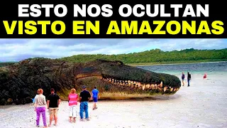 Los 20 Monstruos MORTALES Que Viven En El Rio Amazonas