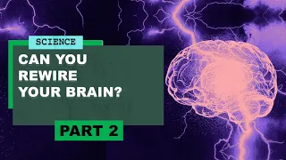 The myth of lizard brain vs rational brain | Neuroscientist Lisa Feldman Barrett