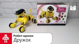 Робот-щенок Дружок//Интеллектуальная собака-робот с голосовым управлением на русском языке
