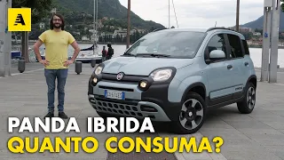 Fiat PANDA HYBRID: il mild a 12 Volt FUNZIONA davvero?