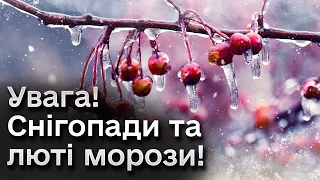 🌨️❄️ Україну засипле снігом! Тріщатимуть морози! Прогноз погоди на січень