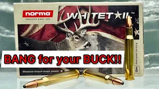 30-06 Norma Whitetail 150gr Ballistics Gel Test & Ammo Review: Best Budget Deer Hunting Ammo?!