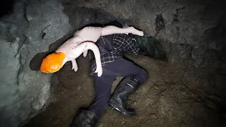 The Strangest Thing to Ever Happen Down a Mine