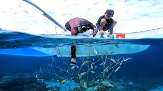 ito Yong gosto ni idol inday na tiknik SA pag huli Ng isda JACKPOT