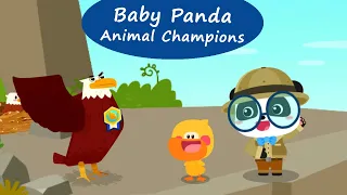 Baby Panda Animal Champions - Meet the Animals in the Sky, on Land and in the Sea! | BabyBus Games
