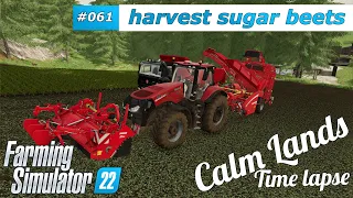 Farming Simulator 22 🚜 Calm Lands 🏭 harvest sugar beets,sow oilRadisch, seeder 🤪 #061 - 4K timeLapse