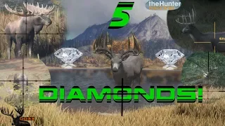 ALL Of My DIAMONDS!!  CALL OF THE WILD 2018