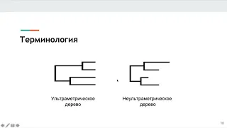 Биоинформатика. Анализ нуклеотидных и аминокислотных последовательностей.3-16. Безменова Александра