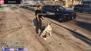 K9 rp