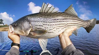 My striper setup from start to finish (Boone Lake)