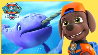 Sea Patroller Rescues | PAW Patrol Compilation | Cartoons for Kids