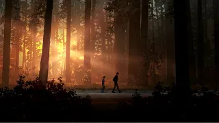 Life Is Strange 2 OST: Seyr - Colour To Colour (Episode 1 Launch Trailer Song)