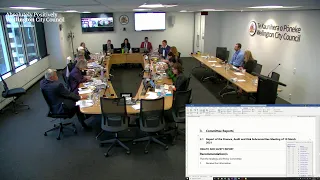 Wellington City Council - Strategy and Policy Committee - 18 March 2021