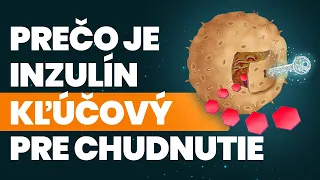 Ak chceš SCHUDNÚŤ, potrebuješ ovplyvniť INZULÍN