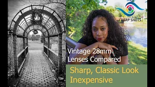 Favorite Budget Vintage 28s Compared: Sharp, Classic Look