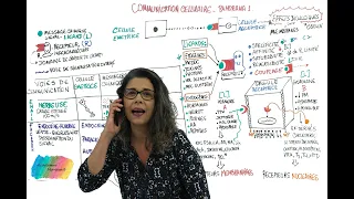 COMMUNICATION CELLULAIRE PANORAMA - Partie 1