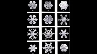 Dr Masaru Emoto's Water Experiments