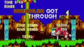 Sonic 3 & Knuckles - Unique bug