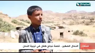 نجاح النحال الصغير معتز زيد يحكي نجاحا في مجال تربية النحل