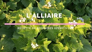 Alliaire en bouchées apéro