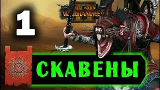 Скавены прохождение Total War Warhammer 2 за Квика - #1