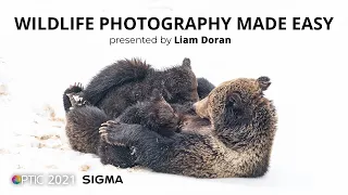 Majestic Mountain Mammals: Wildlife Photography Made Easy with Liam Doran | OPTIC 2021